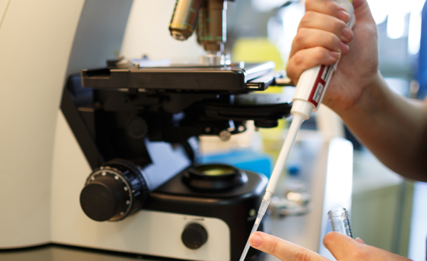 Embryo selection
