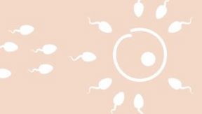Study Information ProFET - If you are planning to undergo a frozen embryo transfer (FET) in a natural cycle with us at Livio Falun, you may be invited to participate in a study (ProFET).