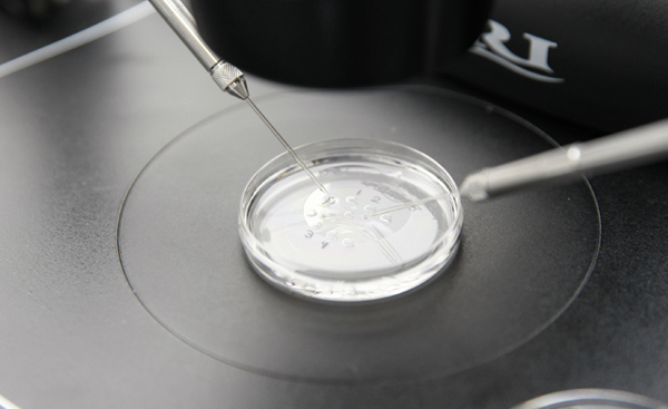 IVF with Donor sperm and donor eggs (Double donation)