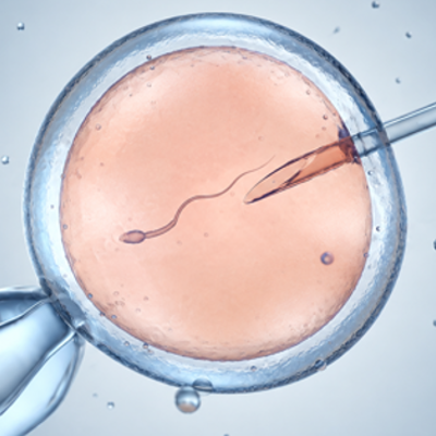 IVF med donerade spermier image