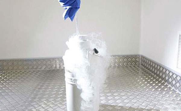 Egg freezing success rates