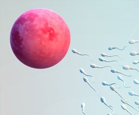 banner image