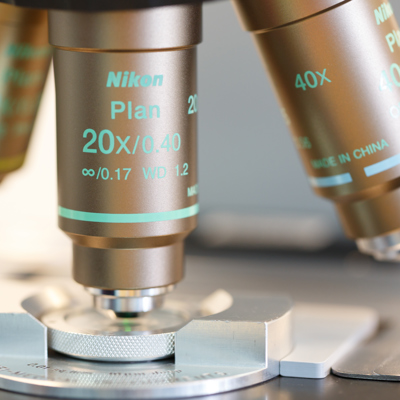 Möjligheter för heterosexuella par image