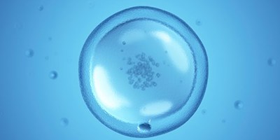 Egg Freezing image
