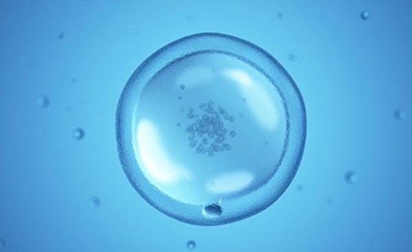 Egg freezing